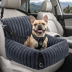 accesorios compactos para coches pequeños con mascota