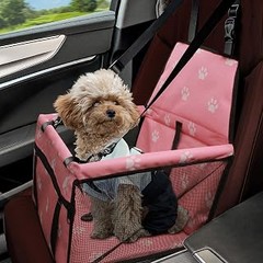 kits de viaje para mascotas en coche