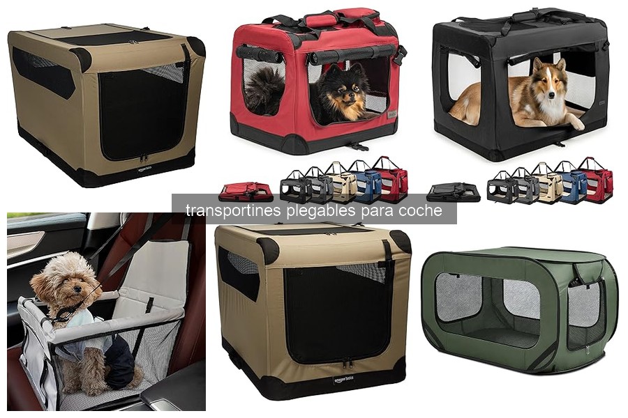 Beneficios del transportín plegable para coche para mascotas