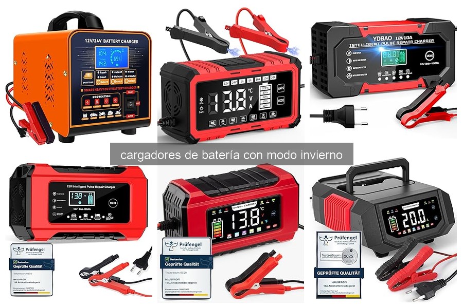 Cargadores de batería con modo invierno: ¿Qué son y cómo funcionan?