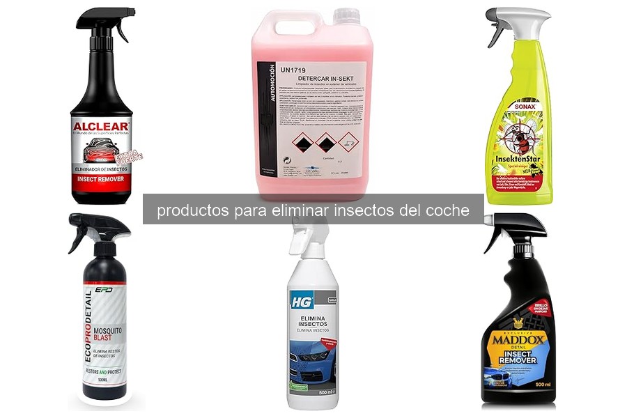 Cómo eliminar insectos del coche de forma efectiva
