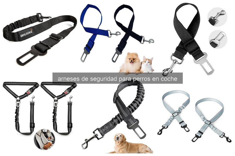 Cómo instalar un arnés de seguridad para perros en el coche