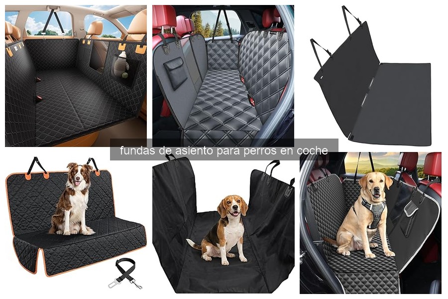 Cómo Instalar una Funda de Asiento para Perros en Coche