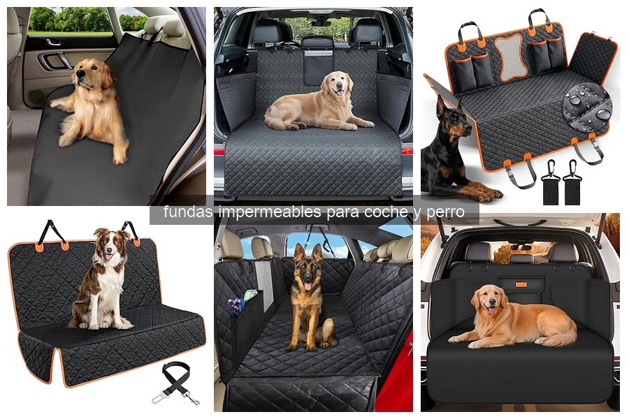 Cómo instalar y mantener fundas impermeables para coche y perro