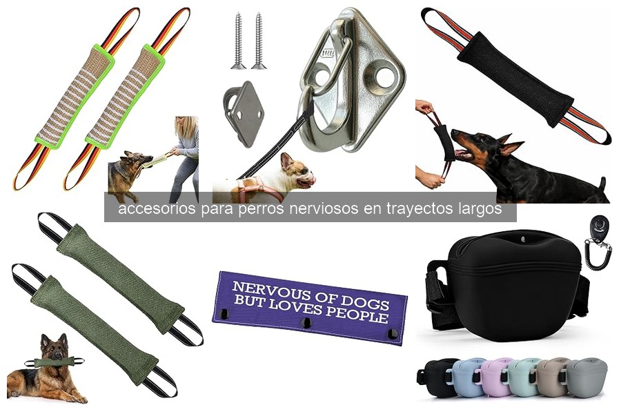 Errores comunes con accesorios para perros en viajes largos