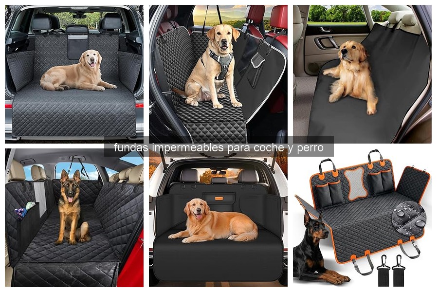 Fundas Impermeables para Coche y Perro: ¿Qué Son y Beneficios?