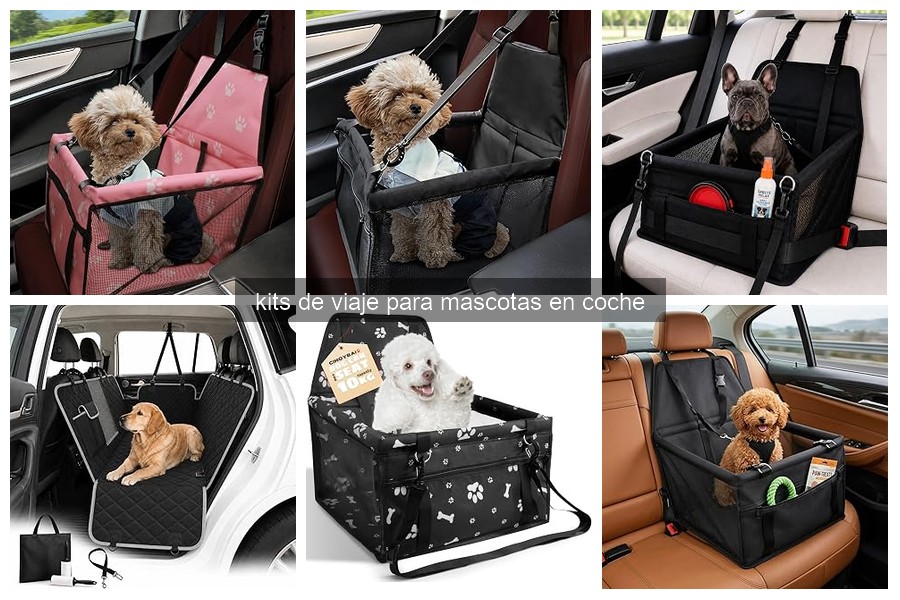 Kit esencial para viajar con mascotas en coche: ¿qué incluir?