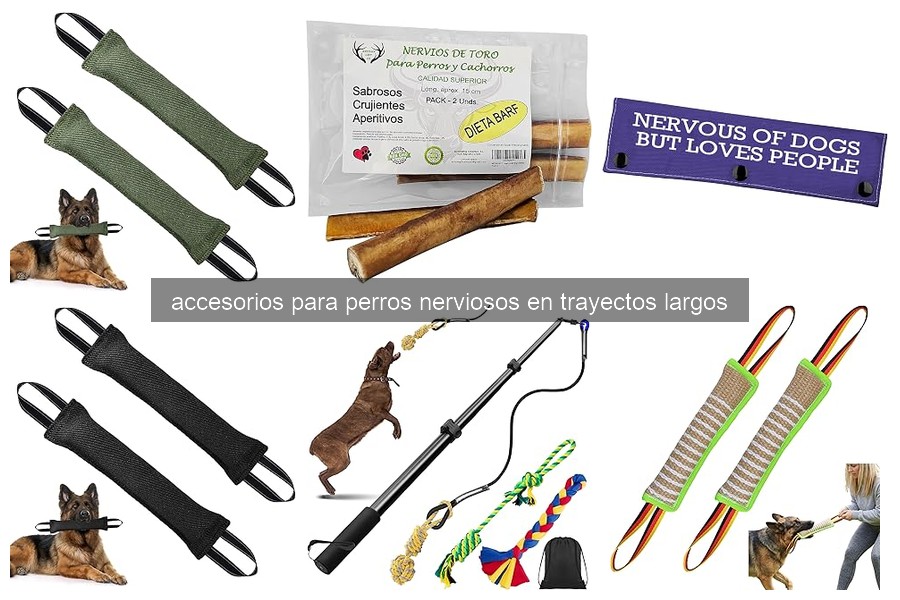 Mejores accesorios para calmar perros nerviosos en viajes largos