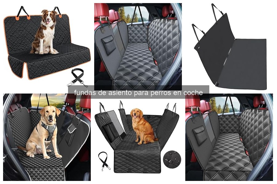Mejores fundas de asiento para perros en coche 2026