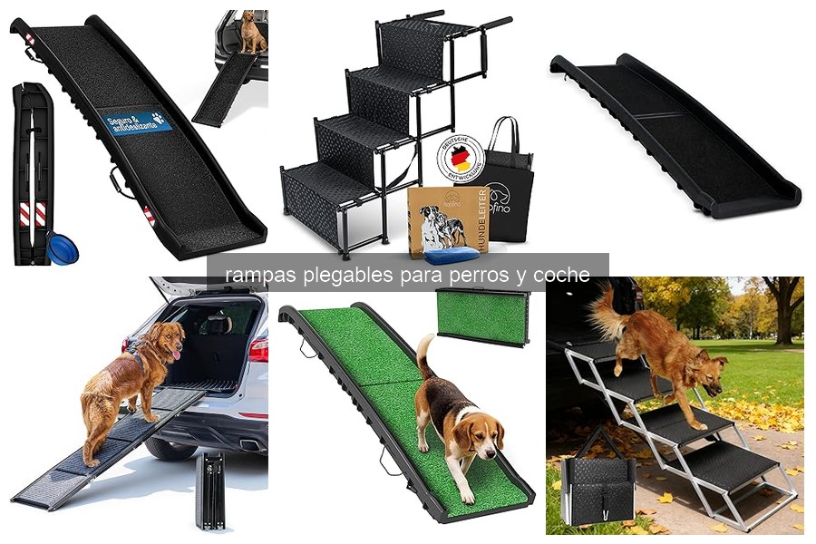 Mejores rampas plegables para perros en coches 2026