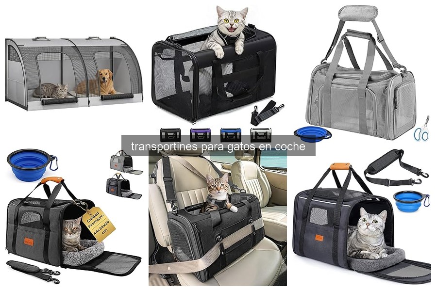 Mejores transportines para gatos para viajar en coche 2026