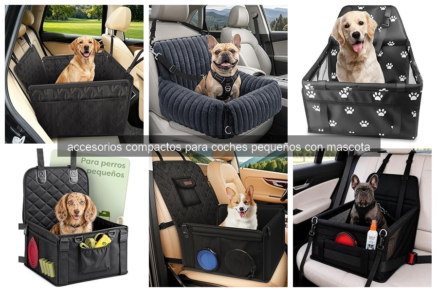Problemas al transportar mascotas en coches pequeños y soluciones