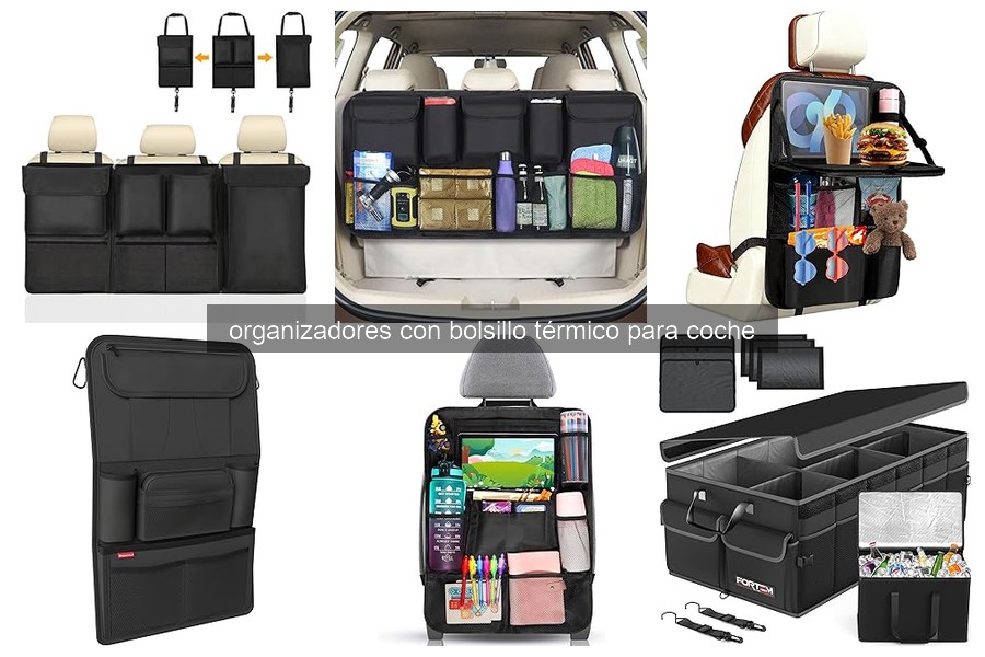 Problemas comunes al usar organizadores térmicos para coche