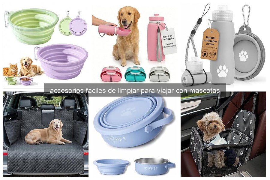 Problemas comunes de accesorios para mascotas en el coche
