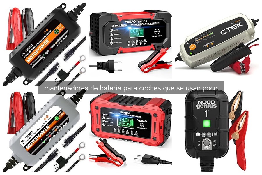 Problemas comunes y soluciones para mantenedores de batería