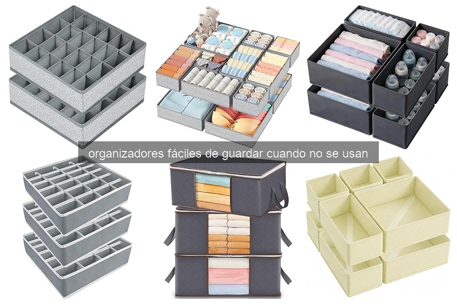 ¿Qué son los organizadores de coche y tipos disponibles?