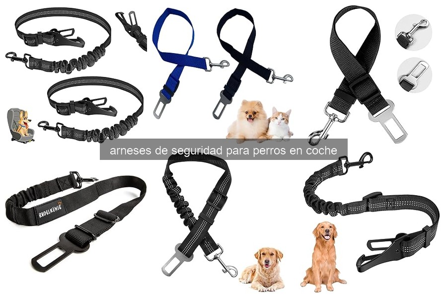 Todo sobre arneses de seguridad para perros en coche