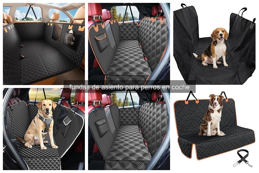 Ventajas y desventajas de fundas de asiento para perros